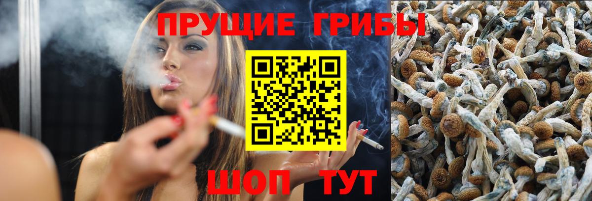 Псилоцибиновые грибы Psilocybe Семилуки